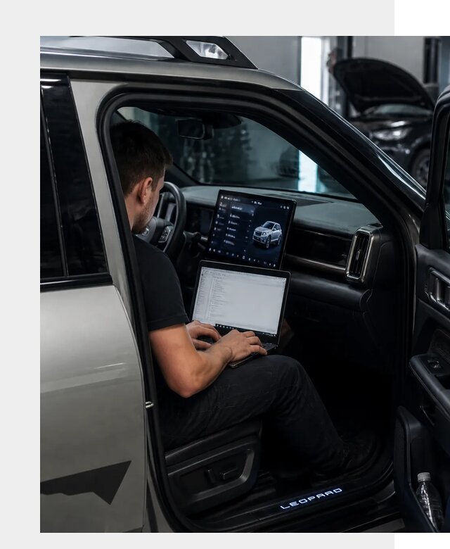 Русификация BYD Leopard 3 в Киселёвске по цене от 20459 р. | ФастМобиль-Кис